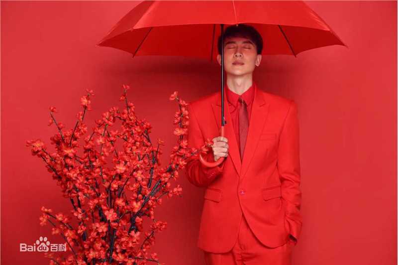 王龙华(Henry)精选新春图册