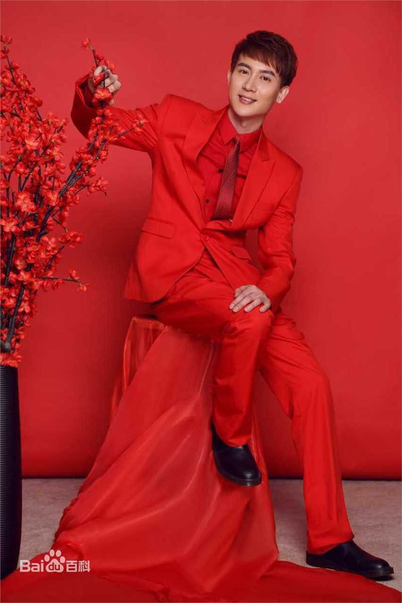 王龙华(Henry)精选新春图册