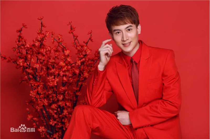 王龙华(Henry)精选新春图册