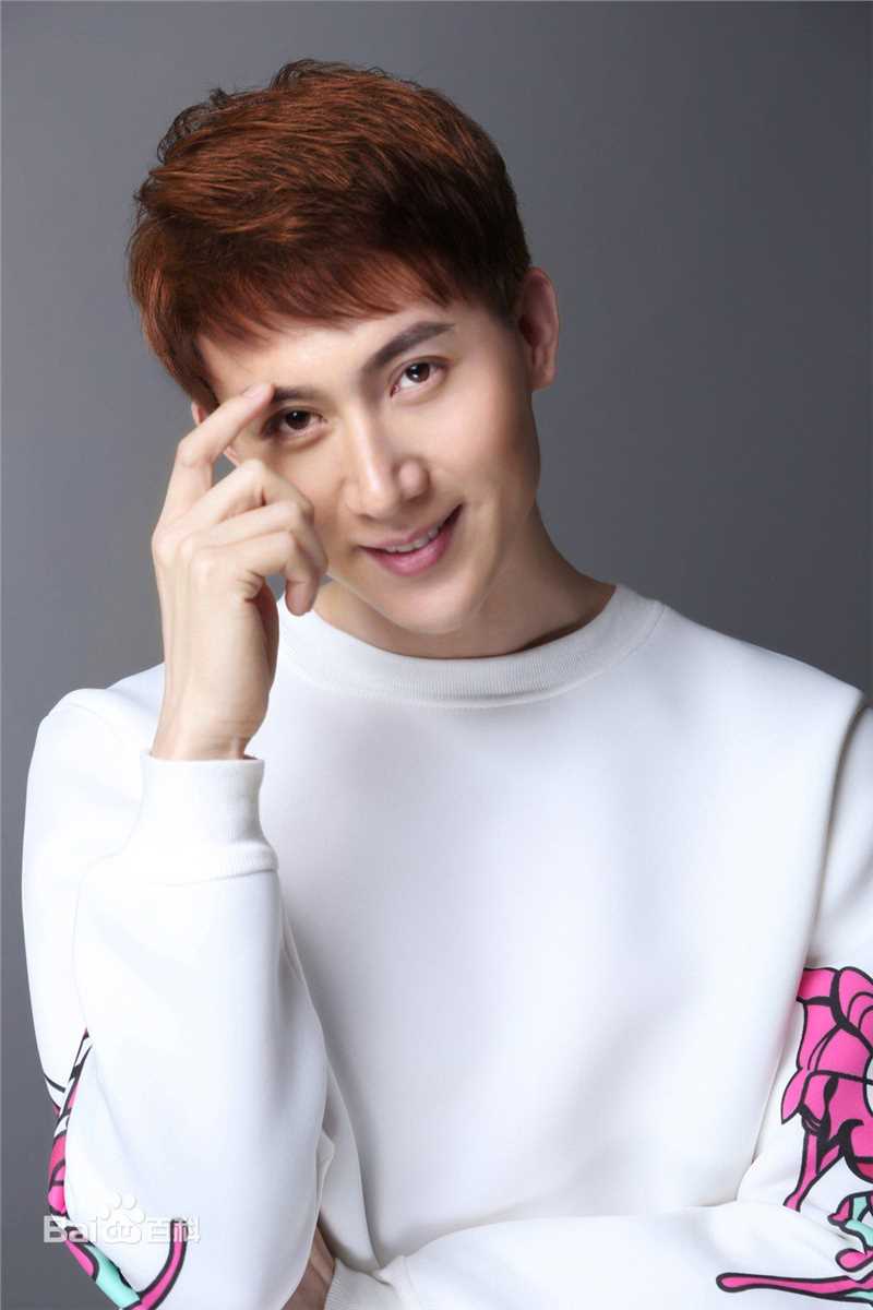 高清王龙华(Henry)图片