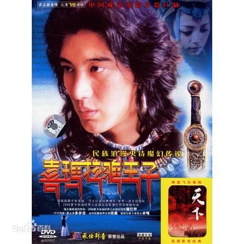 胡雪桦(Sherwood Hu)喜玛拉雅王子 最优质剧照