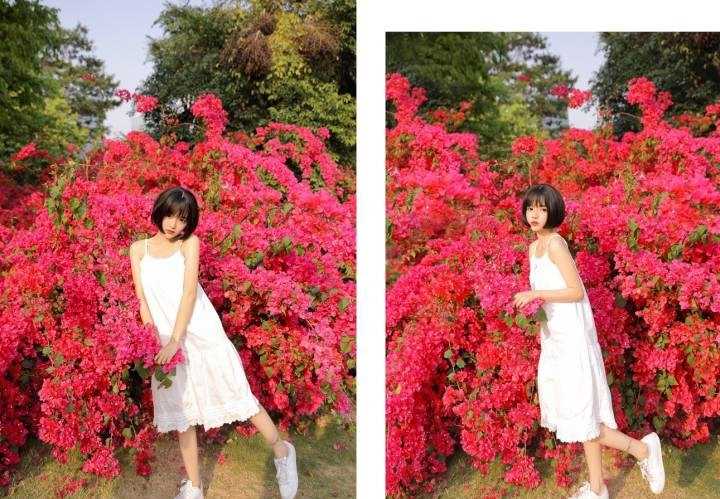 特别专辑短发童颜萝莉美女清纯养眼可爱花海唯美图片