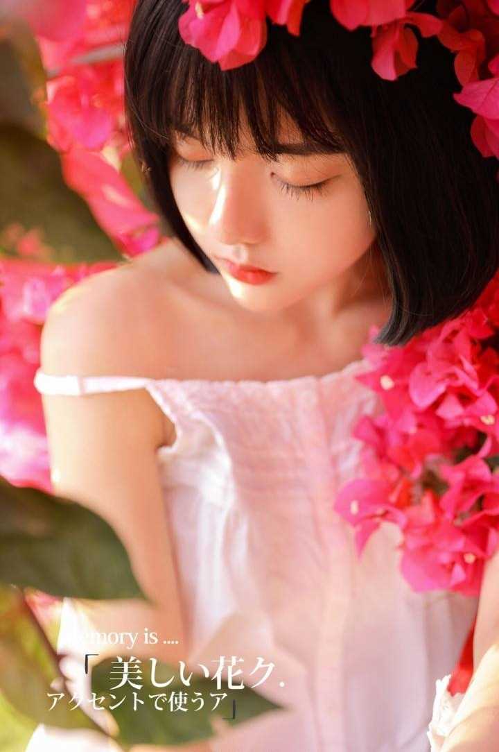 特别专辑短发童颜萝莉美女清纯养眼可爱花海唯美图片