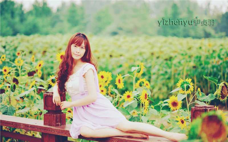 精选中国首位袖珍腿模伊贞羽性感好看的桌面壁纸图册