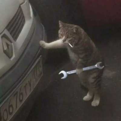 浪漫文艺范时尚唯美意境图片