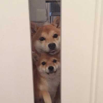 浪漫文艺范时尚唯美意境图片