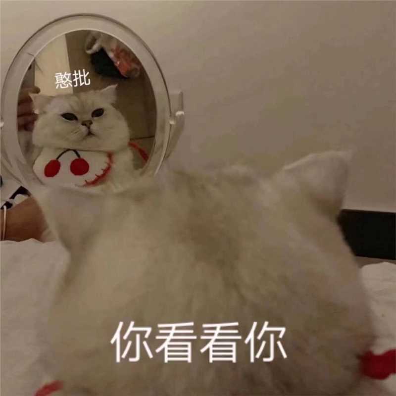 浪漫文艺范时尚唯美意境图片