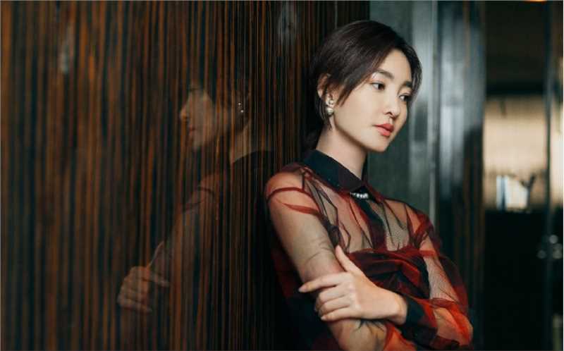 特别专辑王丽坤红色薄纱长裙端庄不失性感图片