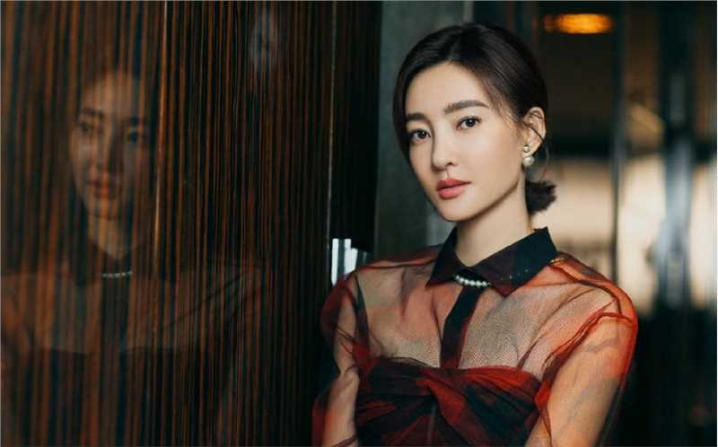 特别专辑王丽坤红色薄纱长裙端庄不失性感图片