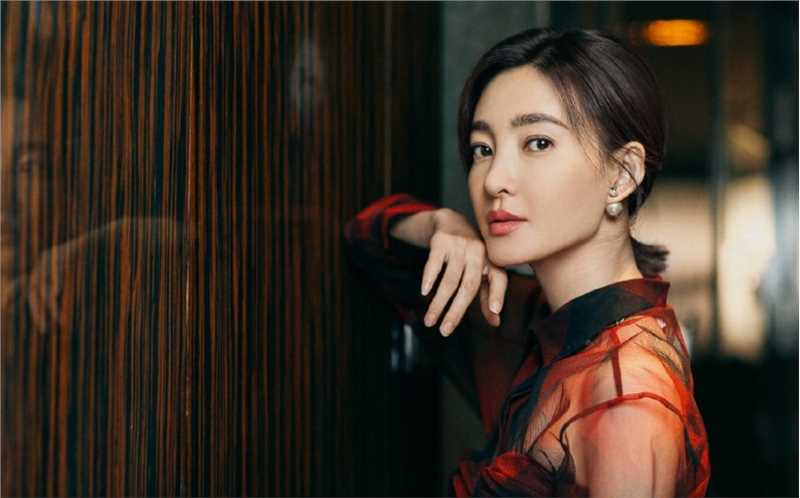 特别专辑王丽坤红色薄纱长裙端庄不失性感图片