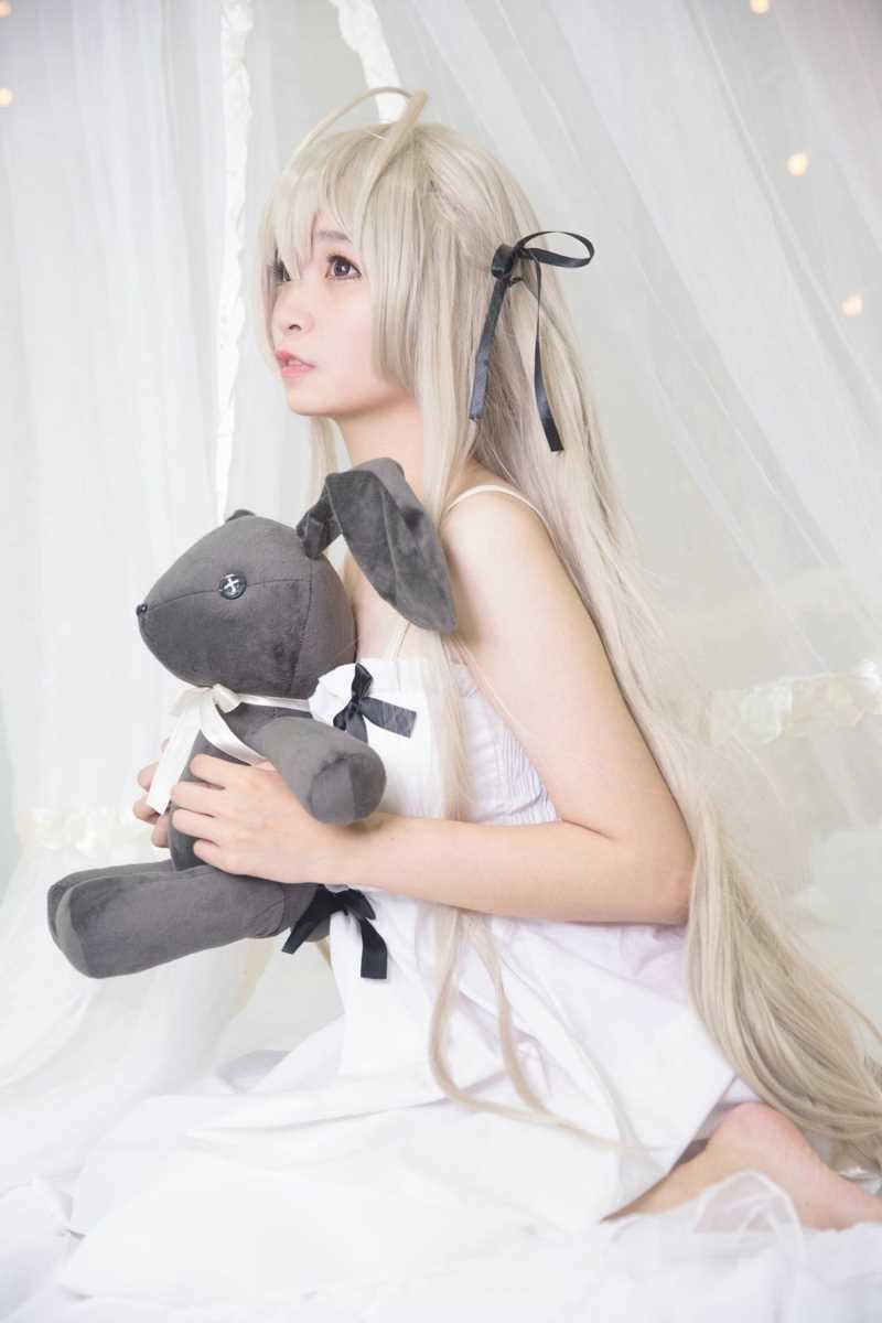 最全美少女cosplay春日野穹萝莉图片壁纸