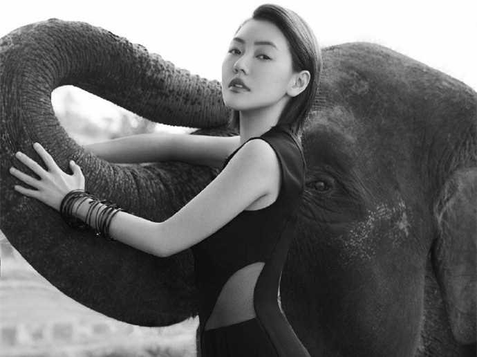 最新小S徐熙娣魅惑妖娆性感时尚拍摄图片壁纸