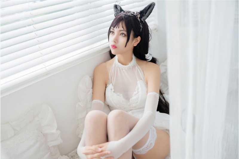 最全蕾丝猫耳性感女郎白丝袜惑唯美艺术壁纸