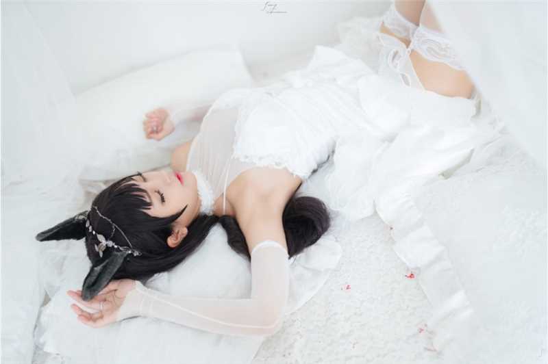 最全蕾丝猫耳性感女郎白丝袜惑唯美艺术壁纸