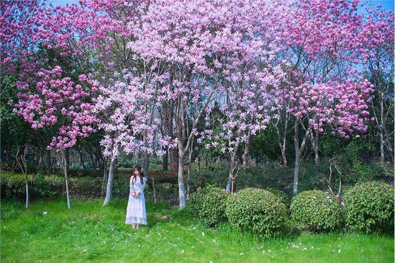 甜美邻家女孩透明薄纱裙子户外小清新艺术照