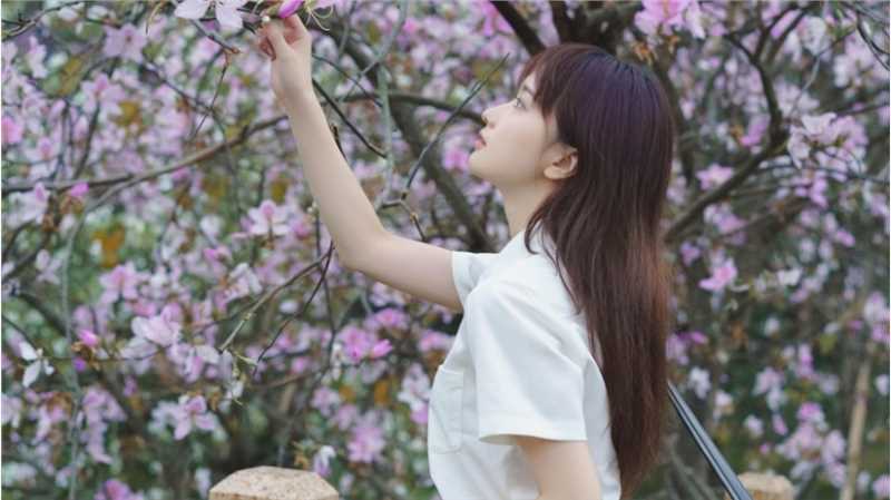 最全蓝色JK格子裙清纯校花紫荆树下初恋图片相册