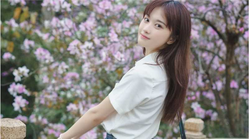 最全蓝色JK格子裙清纯校花紫荆树下初恋图片相册