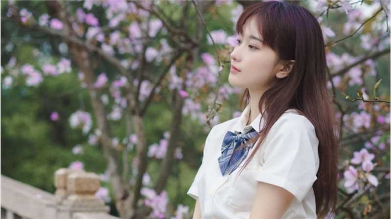 最全蓝色JK格子裙清纯校花紫荆树下初恋图片相册