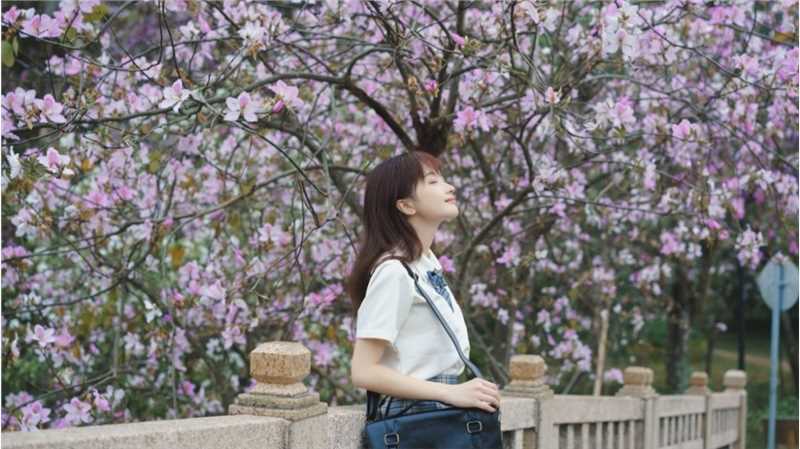 最全蓝色JK格子裙清纯校花紫荆树下初恋图片相册