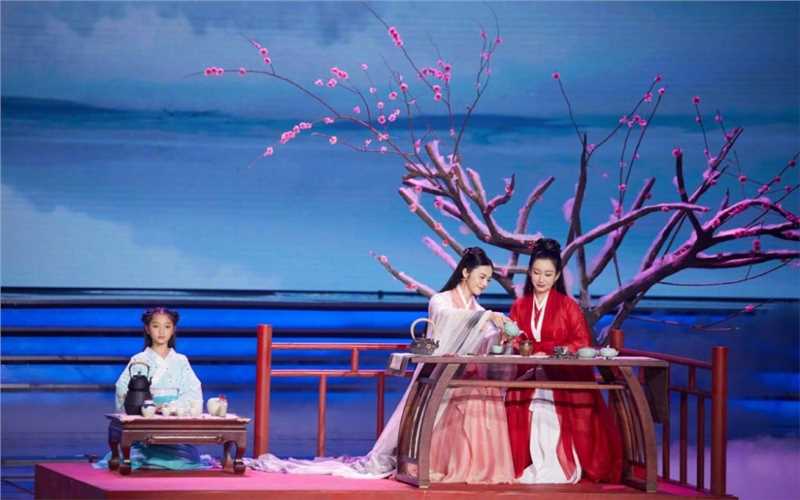 精选姚晨古装温婉美女仙气十足舞台照图册