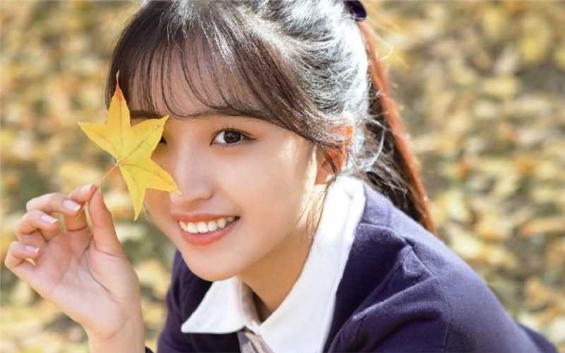 最全高马尾辫齐刘海大学校花清纯制服户外艺术照壁纸