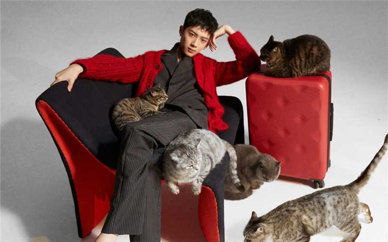 最新潮流男孩赖冠霖抱着猫咪的时尚拍摄图片壁纸