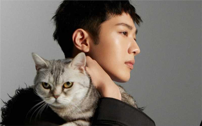 最新潮流男孩赖冠霖抱着猫咪的时尚拍摄图片壁纸