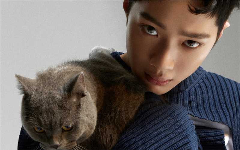 最新潮流男孩赖冠霖抱着猫咪的时尚拍摄图片壁纸