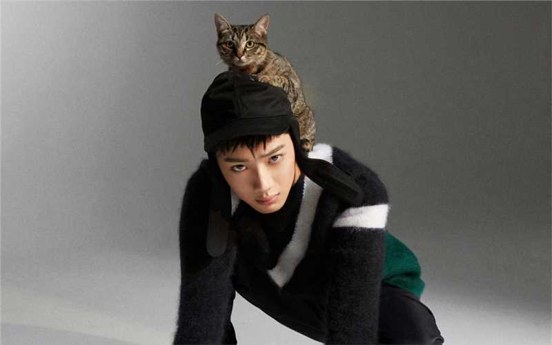 最新潮流男孩赖冠霖抱着猫咪的时尚拍摄图片壁纸