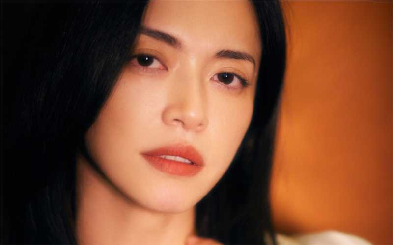 高清魅力女神姚晨复古风时尚图集