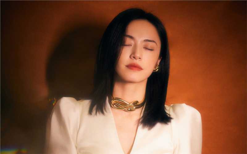 高清魅力女神姚晨复古风时尚图集