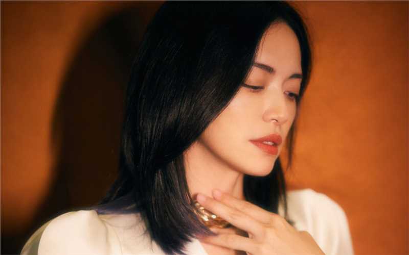 高清魅力女神姚晨复古风时尚图集