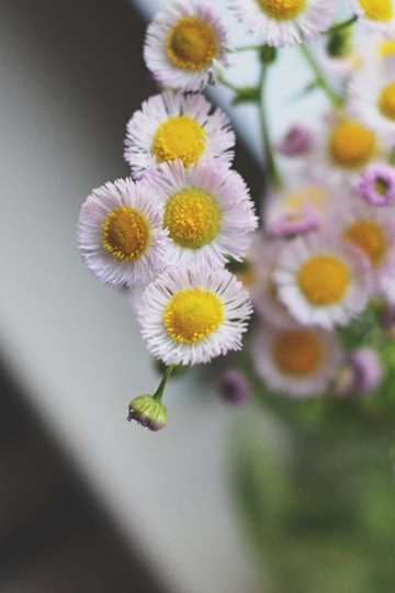 最新手绘古装美女唯美壁纸