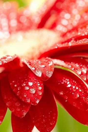 最新章乐韵古装扮相唯美图集