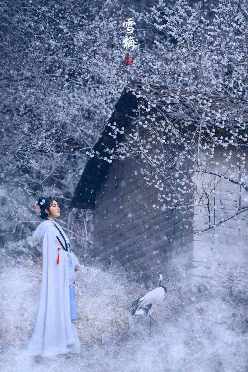 精选古装美女冬日雪地图册