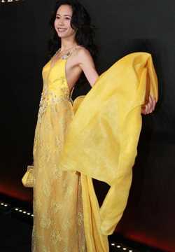 优质戴燕妮抹胸流金长裙性感相册