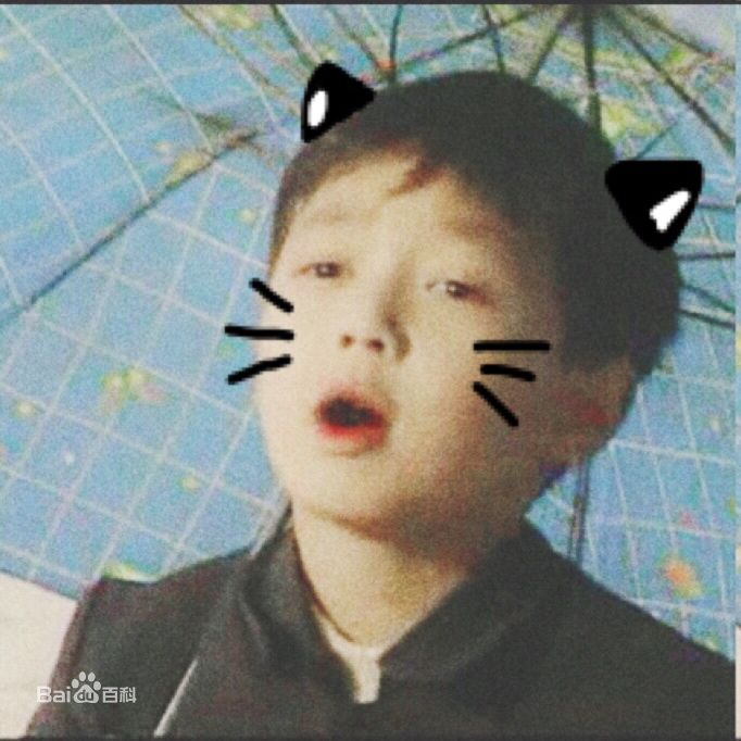 张艺兴(LAY，レイ)小时候图片图册