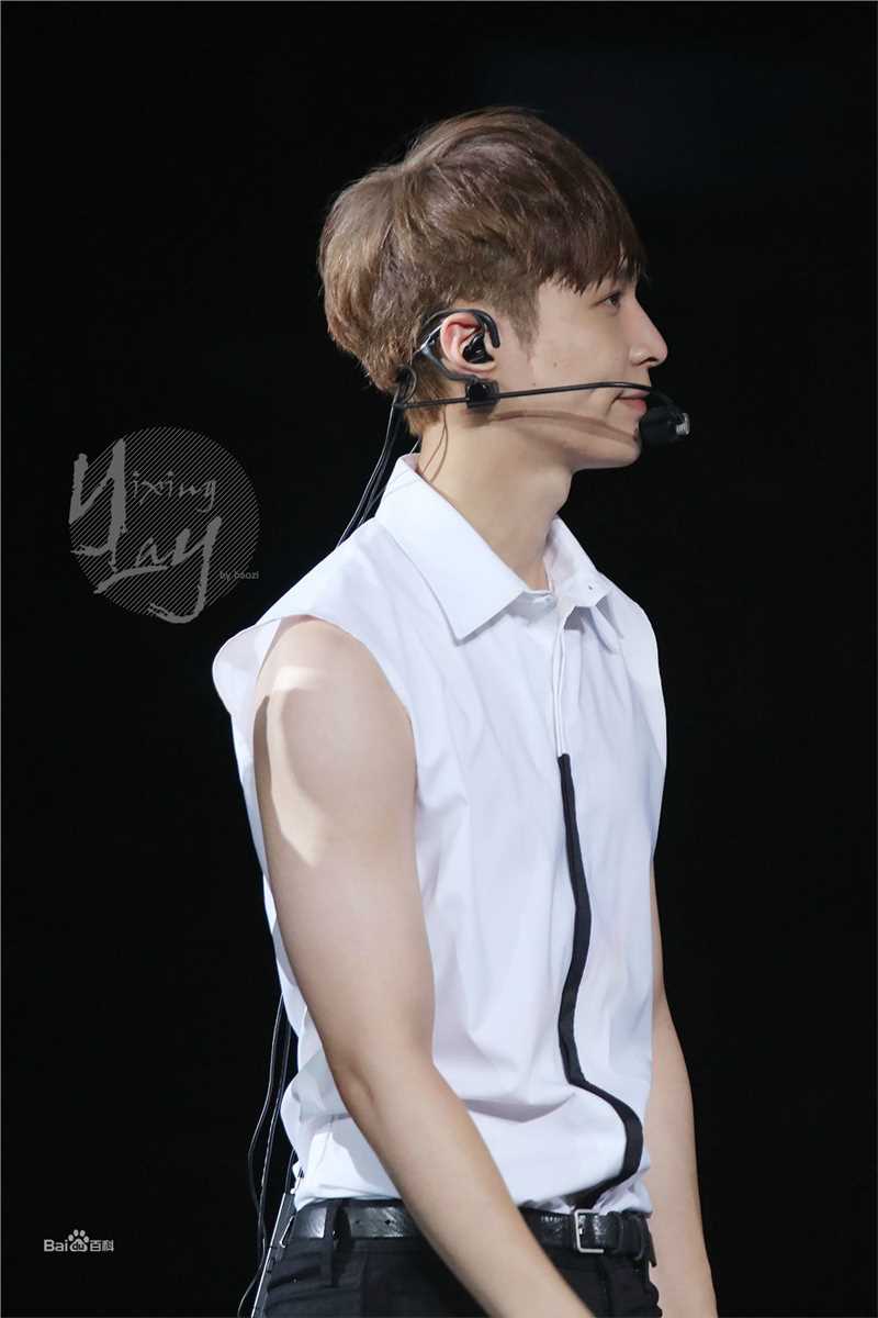 张艺兴(LAY，レイ)演出舞台壁纸壁纸