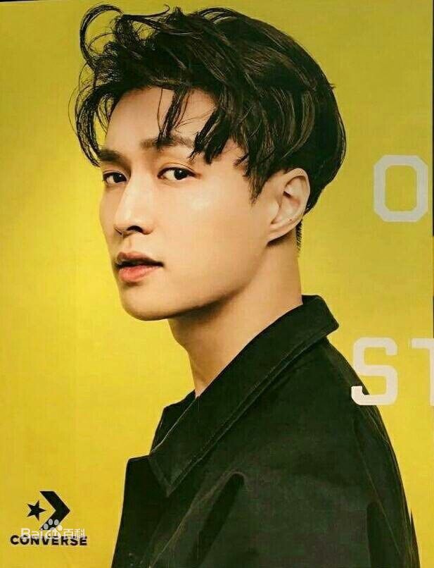 张艺兴(LAY，レイ)代言冒险岛2图片图集