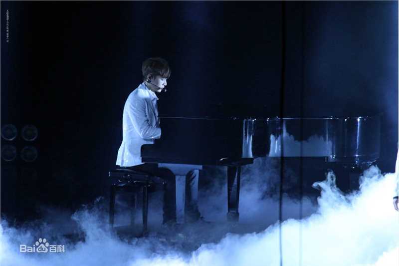 张艺兴(LAY，レイ)演奏舞台性感图片图集