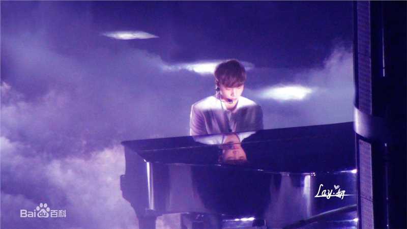 张艺兴(LAY，レイ)演奏舞台性感图片图集