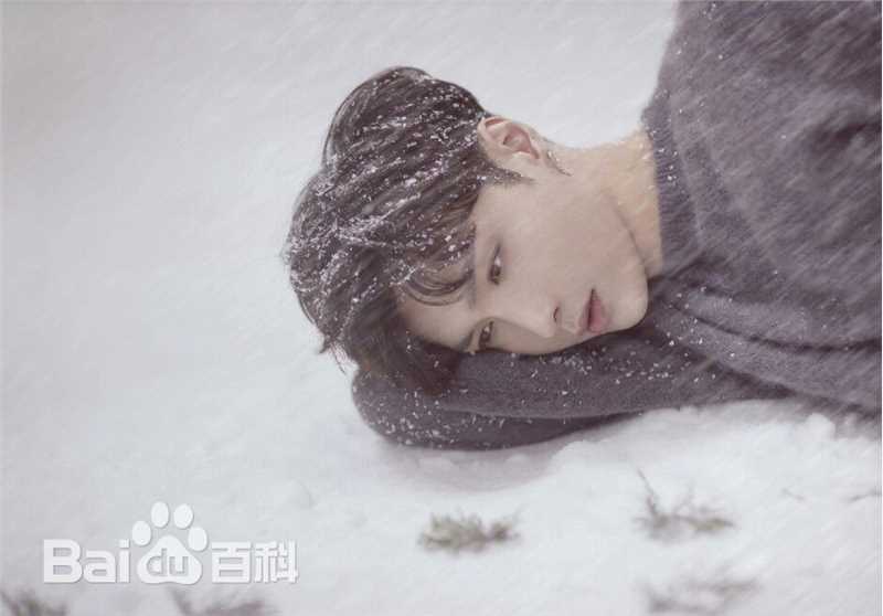 最全张艺兴(LAY，レイ)在专辑《Winter Special Gift》中的壁纸