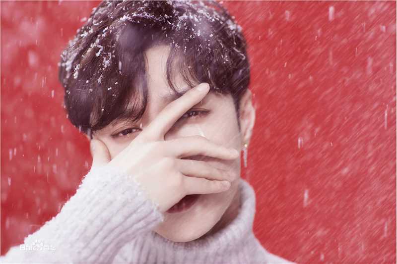 最全张艺兴(LAY，レイ)在专辑《Winter Special Gift》中的壁纸