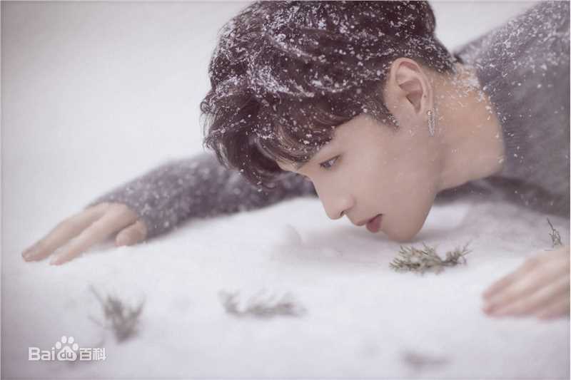 最全张艺兴(LAY，レイ)在专辑《Winter Special Gift》中的壁纸