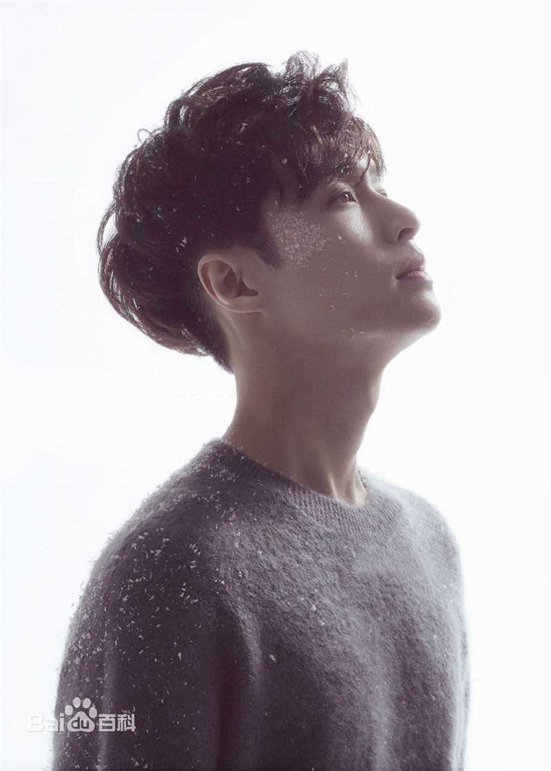 最全张艺兴(LAY，レイ)在专辑《Winter Special Gift》中的壁纸