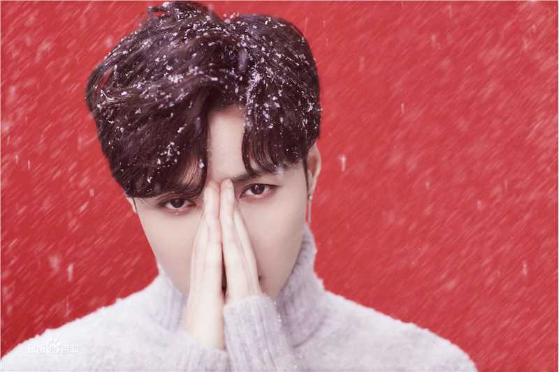 最全张艺兴(LAY，レイ)在专辑《Winter Special Gift》中的壁纸