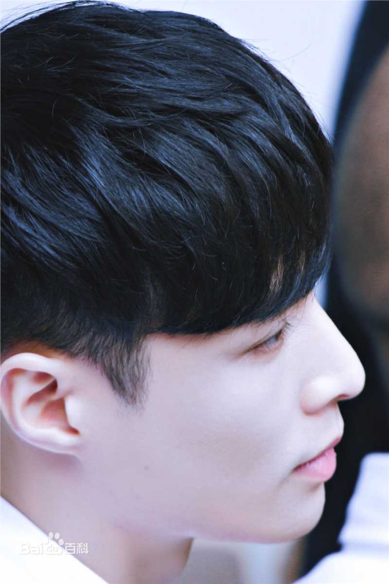 张艺兴(LAY，レイ)活动 老九门番外发布会壁纸壁纸