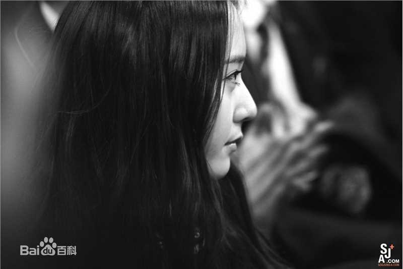 郑秀晶(Jung Soo Jung、Chrystal、Krystal、)学霸晶性感图片壁纸