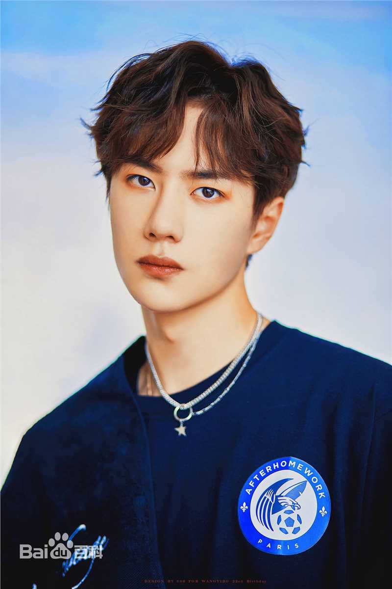 王一博(YiBo)概述图册前后照片