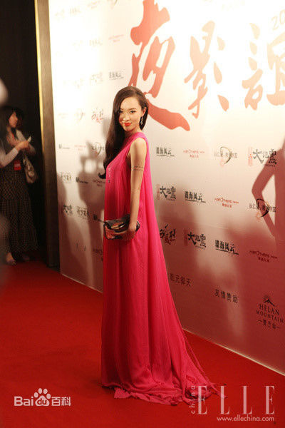 霍思燕(Huo Siyan)各种红毯照图册